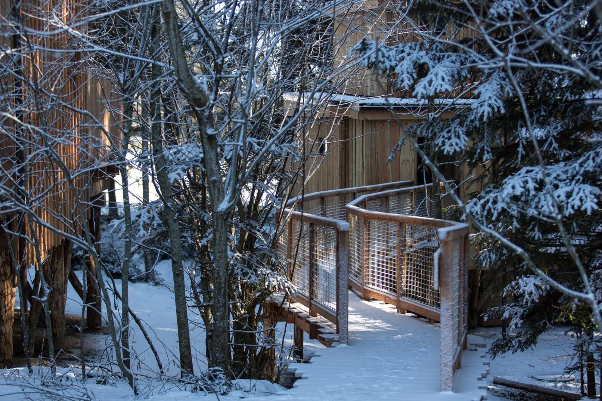 Domaine De L'Authentique Cabanes Dans Les Arbres Fournet-Blancheroche Bilik gambar